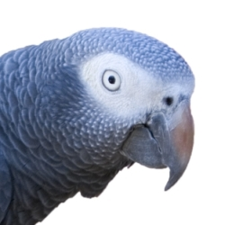 Portrait of Matt